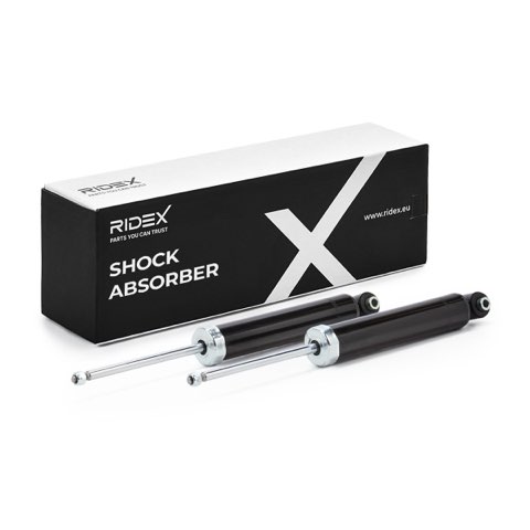 Ridex 854S1938 Shock Absorber