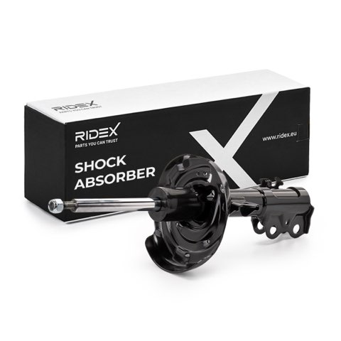 Ridex 854S19381 Shock Absorber