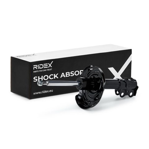 Ridex 854S19382 Shock Absorber