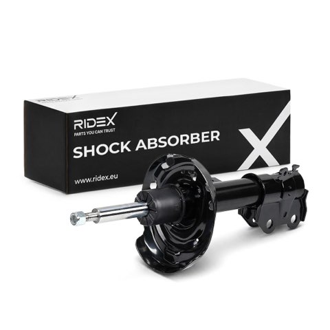 Ridex 854S19384 Shock Absorber