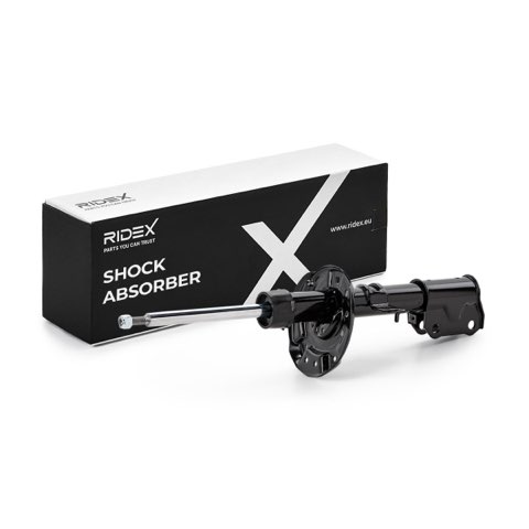 Ridex 854S19396 Shock Absorber