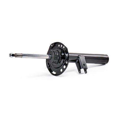 Ridex 854S19415 Shock Absorber, photo 2