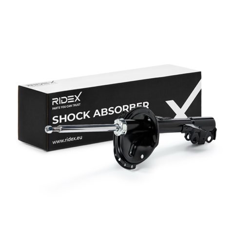 Ridex 854S19489 Shock Absorber