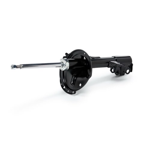 Ridex 854S19489 Shock Absorber, photo 2