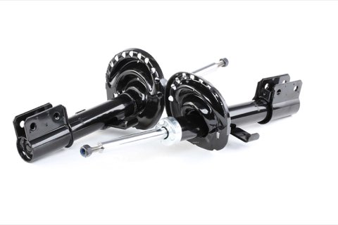 Ridex 854S1955 Shock Absorber