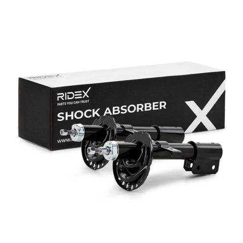 Ridex 854S1955 Shock Absorber, photo 2