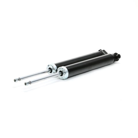 Ridex 854S1959 Shock Absorber