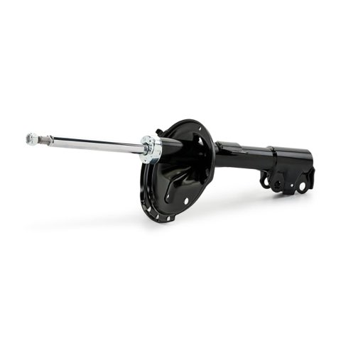 Ridex 854S19616 Shock Absorber, photo 2