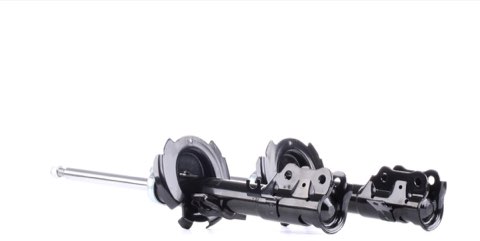 Ridex 854S1963 Shock Absorber