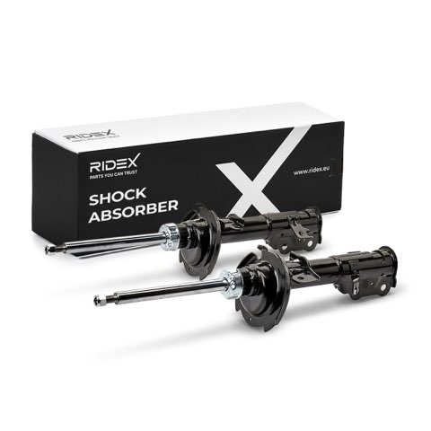 Ridex 854S1963 Shock Absorber, photo 2