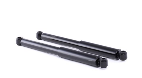 Ridex 854S1968 Shock Absorber