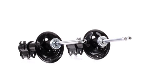 Ridex 854S1981 Shock Absorber