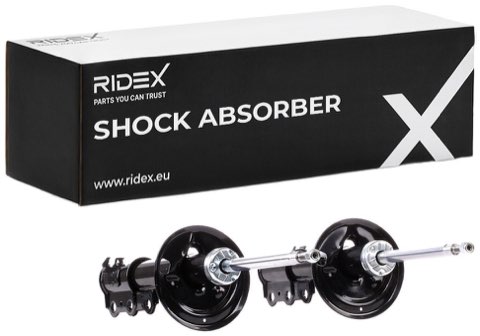 Ridex 854S1981 Shock Absorber, photo 2