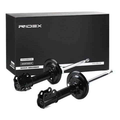 Ridex 854S1981 Shock Absorber, photo 3