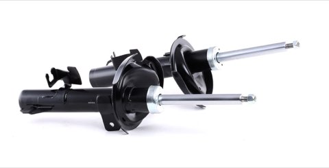 Ridex 854S1984 Shock Absorber