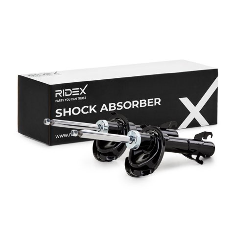 Ridex 854S1984 Shock Absorber, photo 2