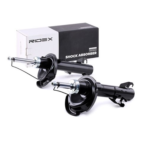 Ridex 854S1984 Shock Absorber, photo 3