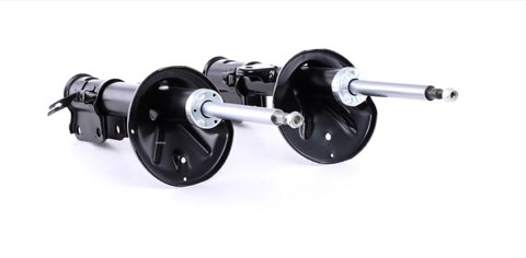 Ridex 854S1987 Shock Absorber