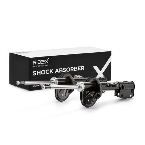 Ridex 854S1987 Shock Absorber, photo 2
