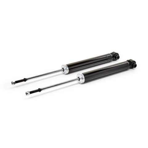Ridex 854S19901 Shock Absorber, photo 2