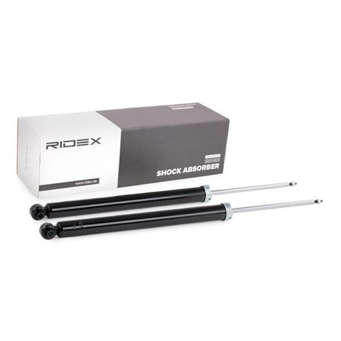 Ridex 854S1993 Shock Absorber, photo 2