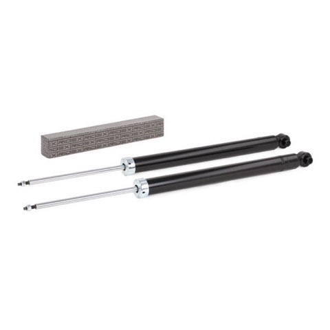Ridex 854S1993 Shock Absorber, photo 3