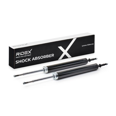 Ridex 854S19932 Shock Absorber