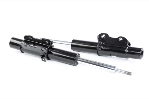 Ridex 854S1994 Shock Absorber