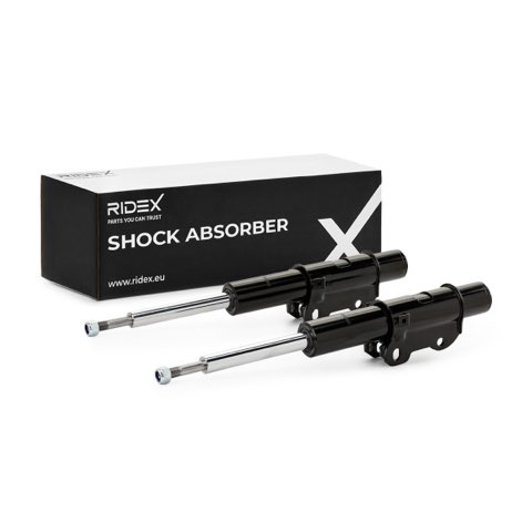 Ridex 854S1994 Shock Absorber, photo 2