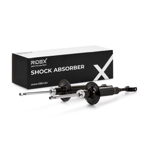 Ridex 854S1997 Shock Absorber, photo 2
