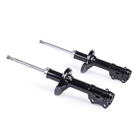 Ridex 854S1999 Shock Absorber, photo 3