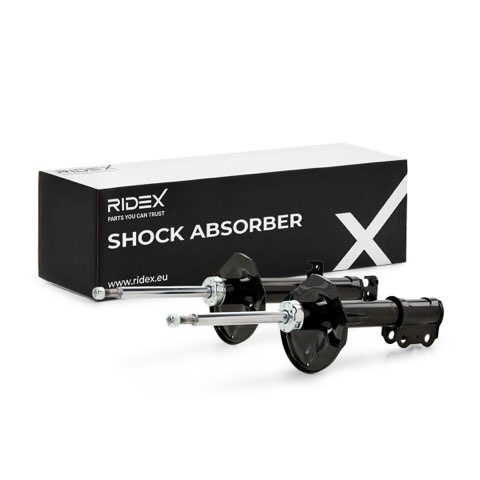 Ridex 854S2000 Shock Absorber, photo 2