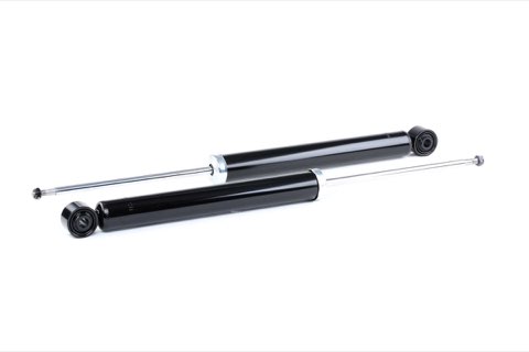Ridex 854S2005 Shock Absorber