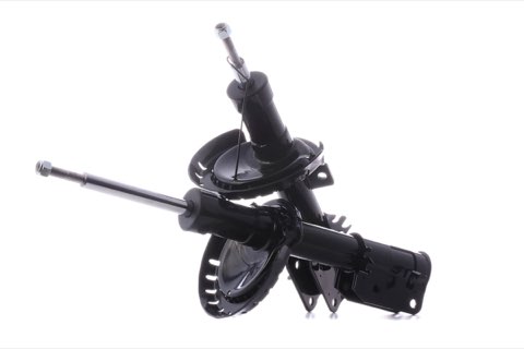 Ridex 854S2019 Shock Absorber