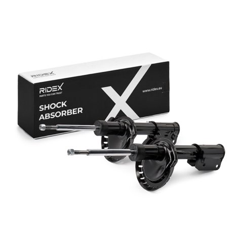 Ridex 854S2019 Shock Absorber, photo 2