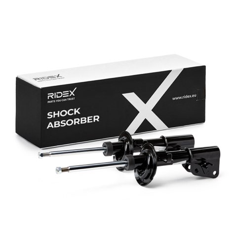 Ridex 854S20202 Shock Absorber