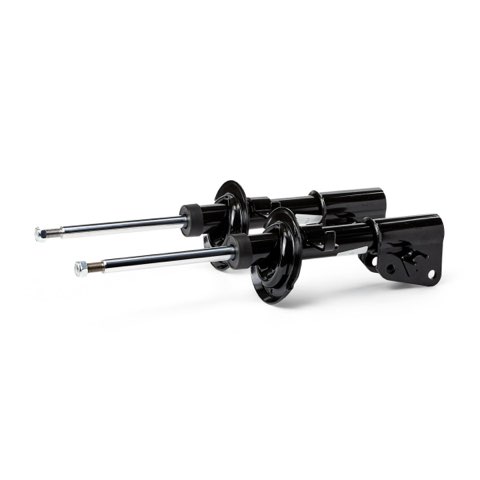Ridex 854S20202 Shock Absorber, photo 3
