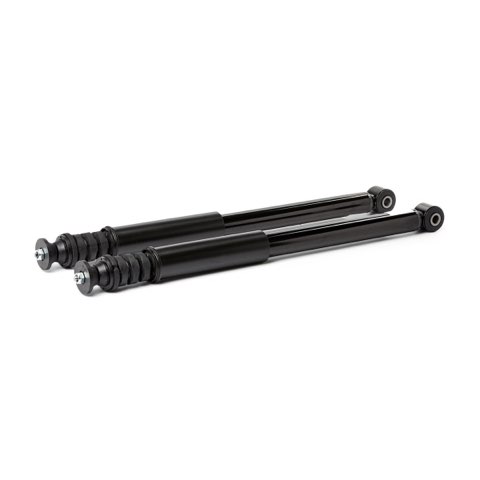 Ridex 854S20208 Shock Absorber, photo 3