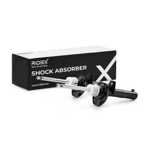 Ridex 854S20222 Shock Absorber