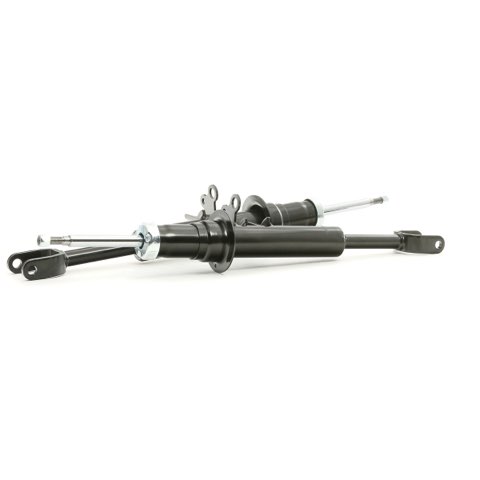 Ridex 854S2023 Shock Absorber