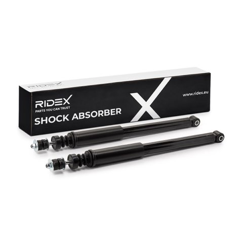 Ridex 854S20255 Shock Absorber