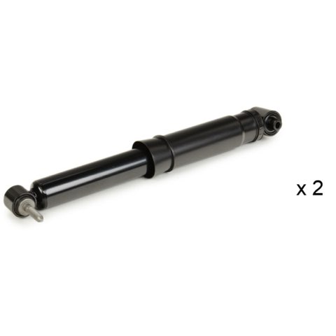 Ridex 854S20269 Shock Absorber, photo 2