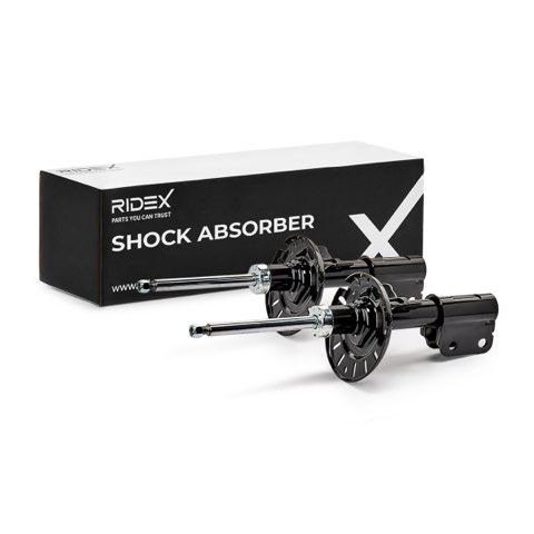 Ridex 854S20276 Shock Absorber