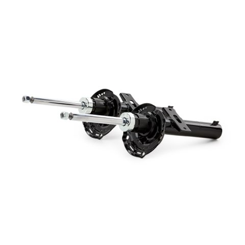 Ridex 854S20277 Shock Absorber, photo 3