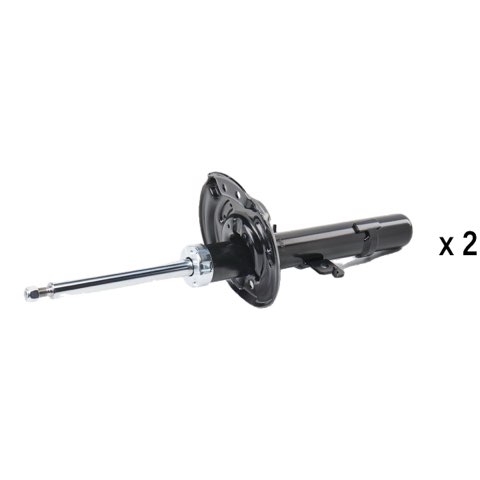 Ridex 854S20286 Shock Absorber, photo 2