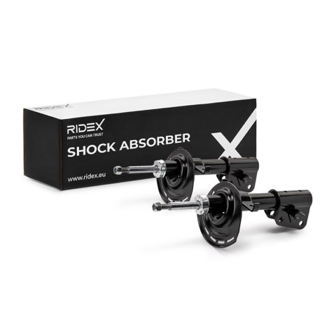 Ridex 854S20290 Shock Absorber