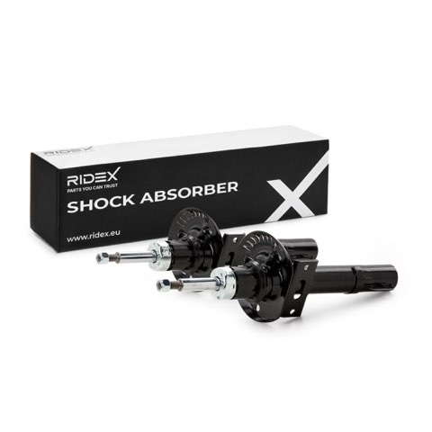 Ridex 854S20291 Shock Absorber