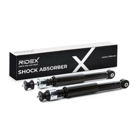 Ridex 854S20293 Shock Absorber