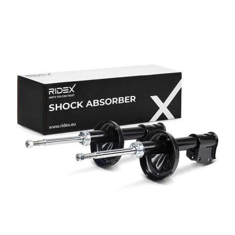 Ridex 854S20297 Shock Absorber