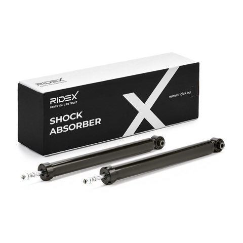 Ridex 854S20299 Shock Absorber